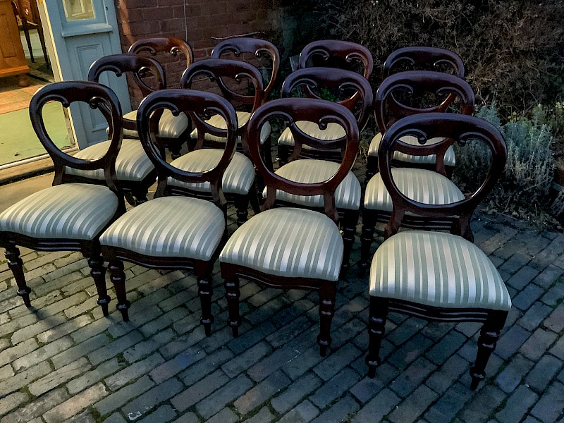 A Set of 12 Victorian Mahogany Balloon Back Dining Chairs